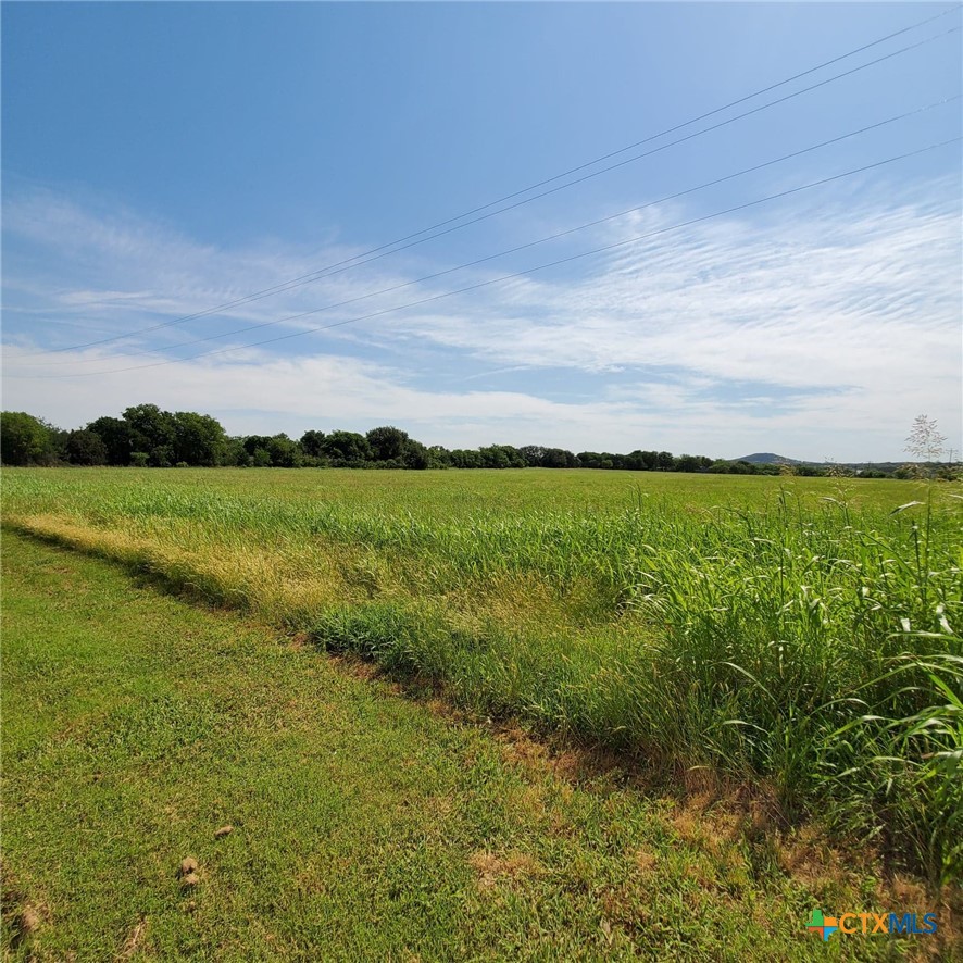 0 E Us Highway 190 Property Photo 4