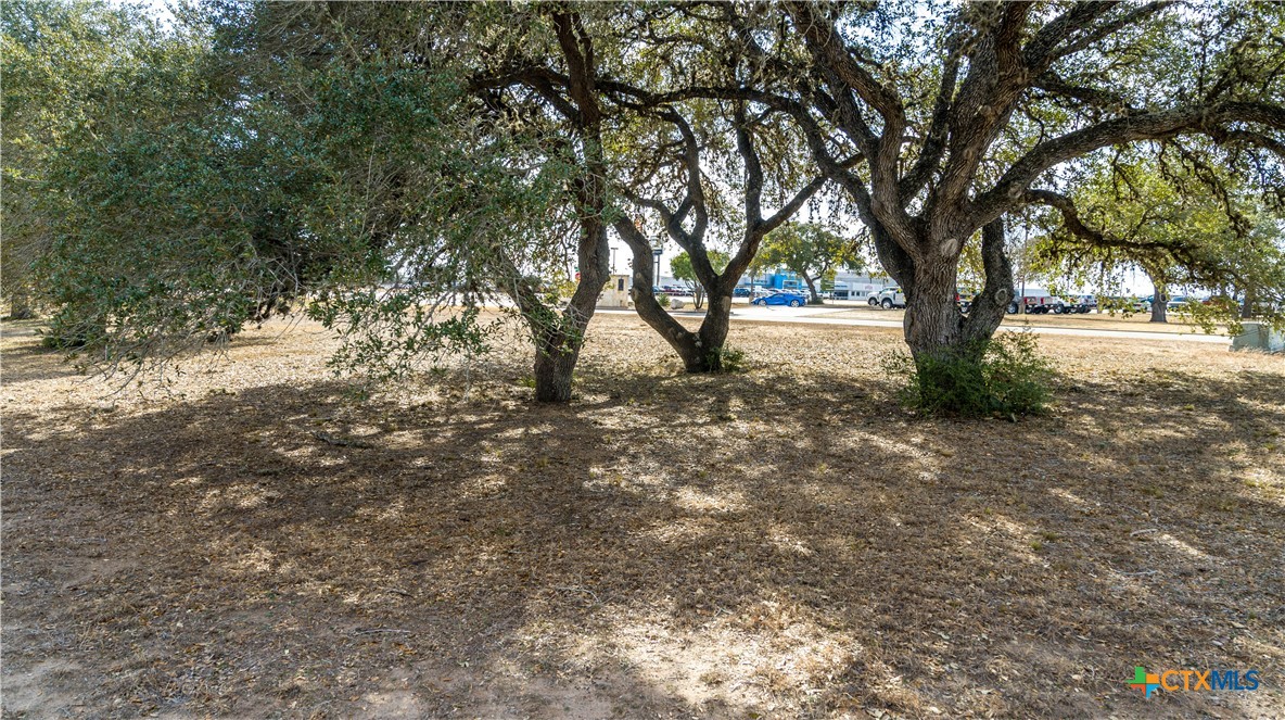 Tbd C L Duckett Drive Property Photo 12