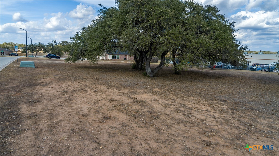 Tbd C L Duckett Drive Property Photo 20