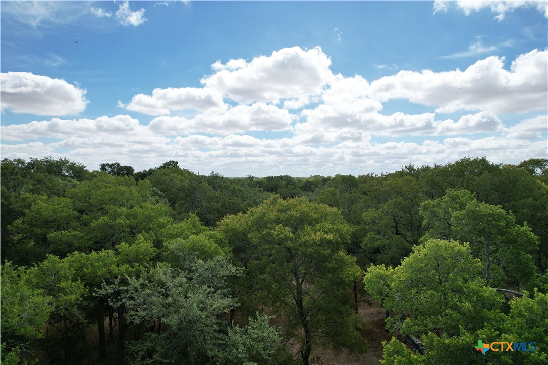 15010 Rosanky Road Property Photo 4