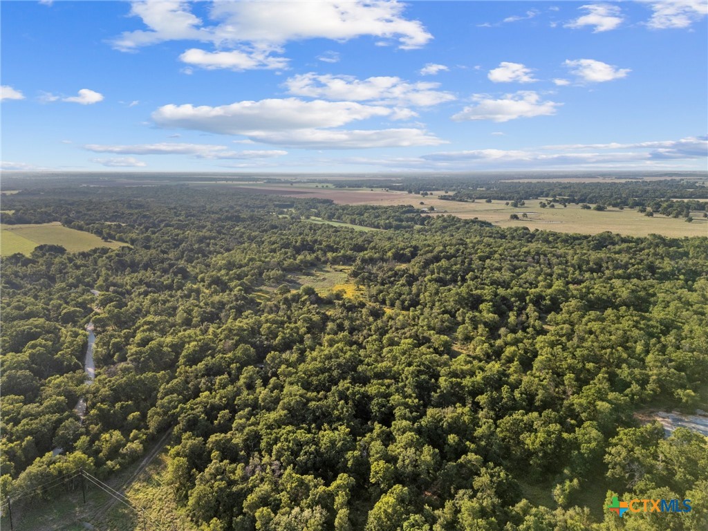 15010 Rosanky Road Property Photo 5