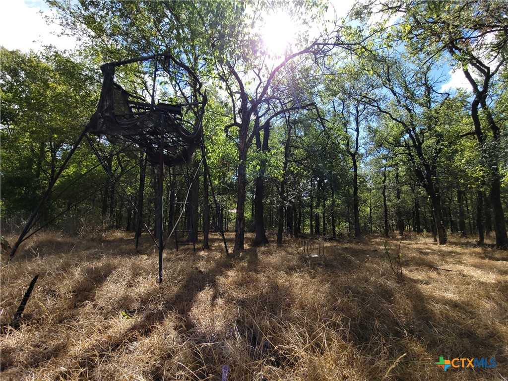 15010 Rosanky Road Property Photo 6