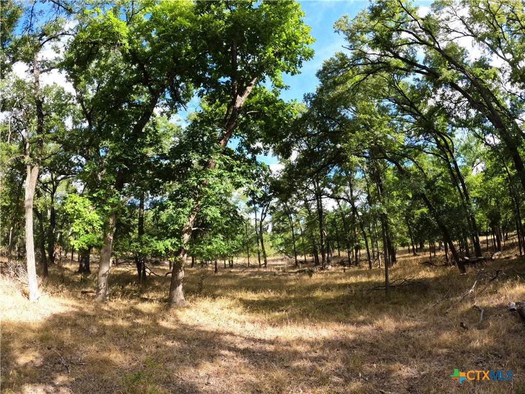 15010 Rosanky Road Property Photo 7