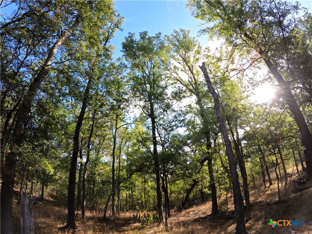 15010 Rosanky Road Property Photo 8