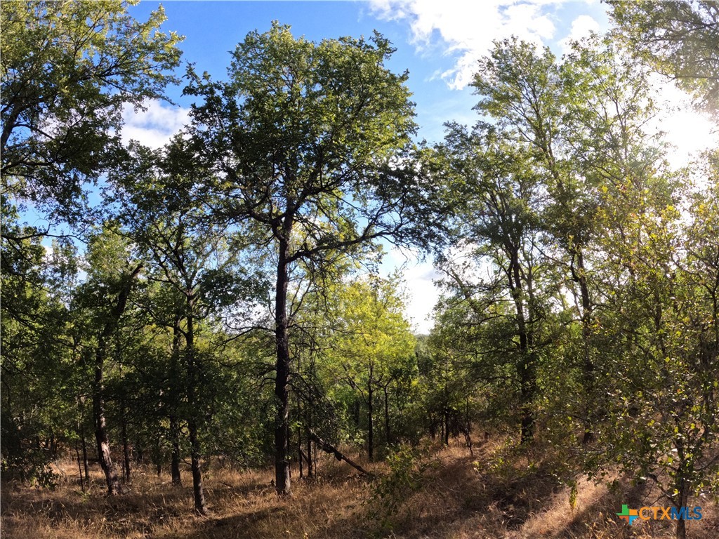 15010 Rosanky Road Property Photo 9