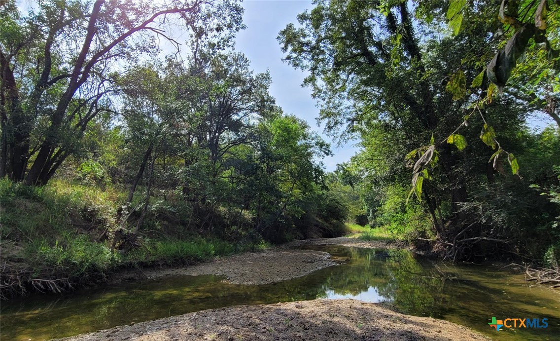 15010 Rosanky Road Property Photo 13