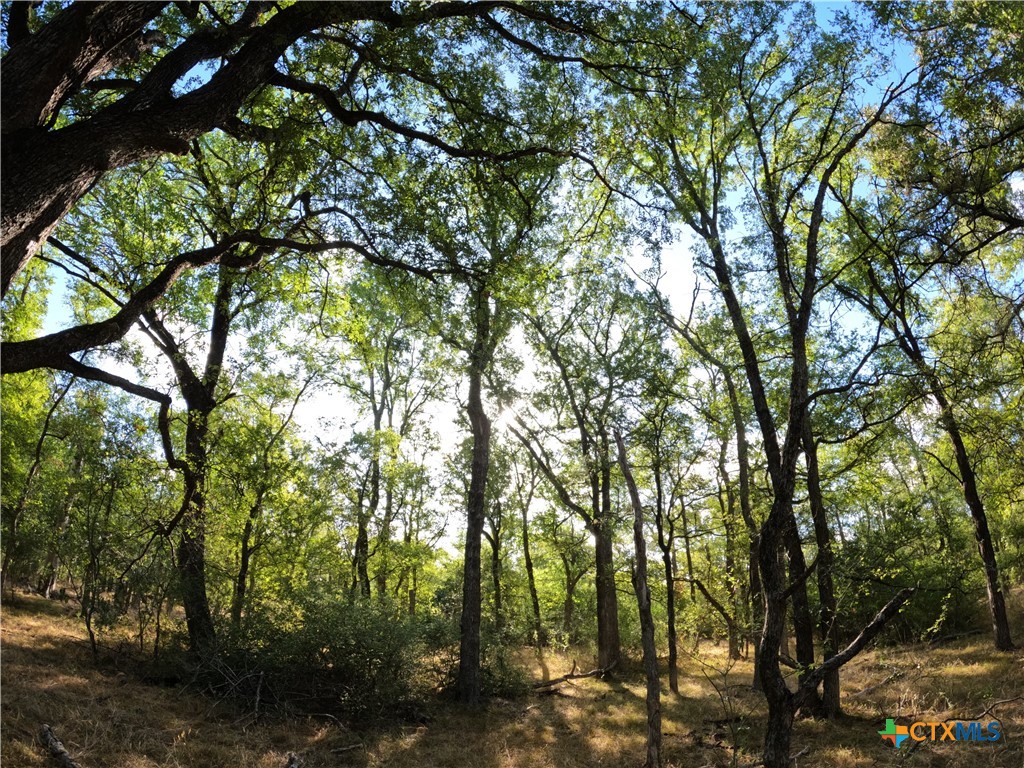 15010 Rosanky Road Property Photo 14
