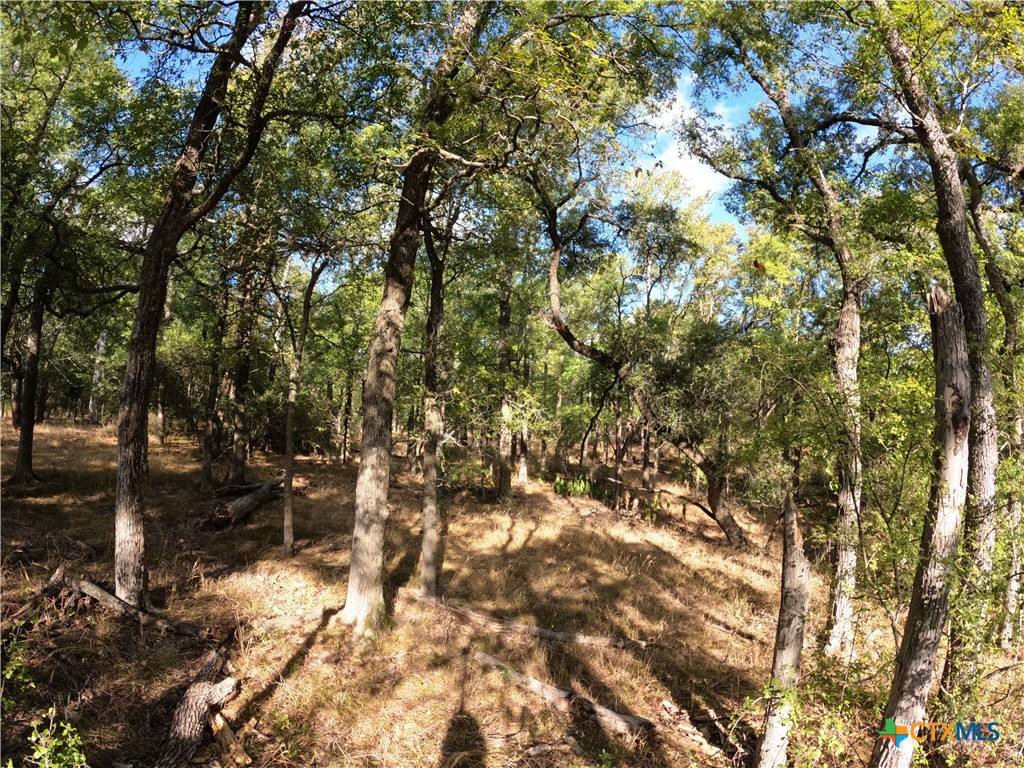 15010 Rosanky Road Property Photo 15