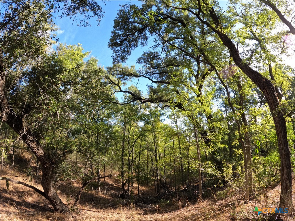 15010 Rosanky Road Property Photo 16