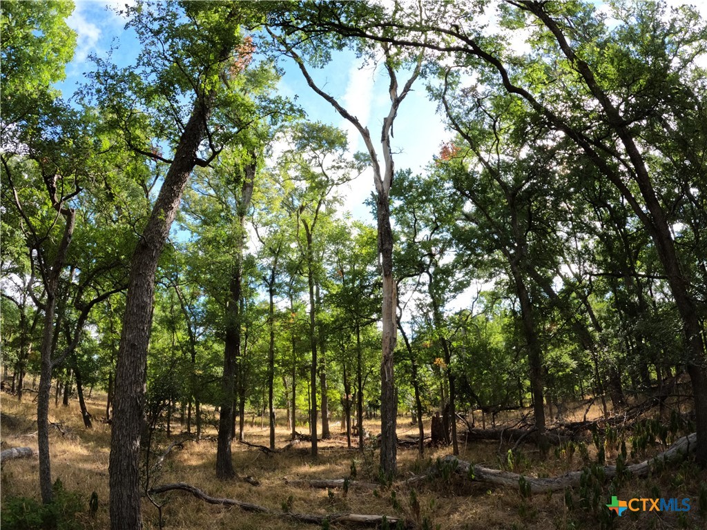 15010 Rosanky Road Property Photo 17