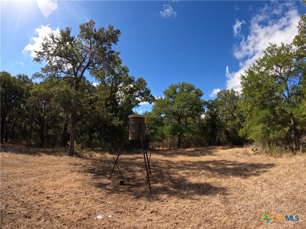 15010 Rosanky Road Property Photo 18