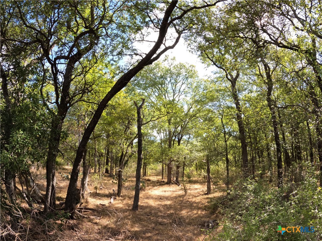 15010 Rosanky Road Property Photo 19