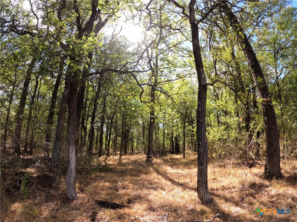 15010 Rosanky Road Property Photo 20