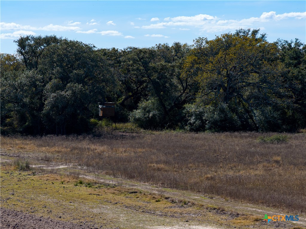 Tbd Fm 710 Property Photo 30