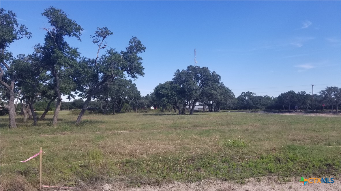 000 Enchanted Oaks Property Photo 1