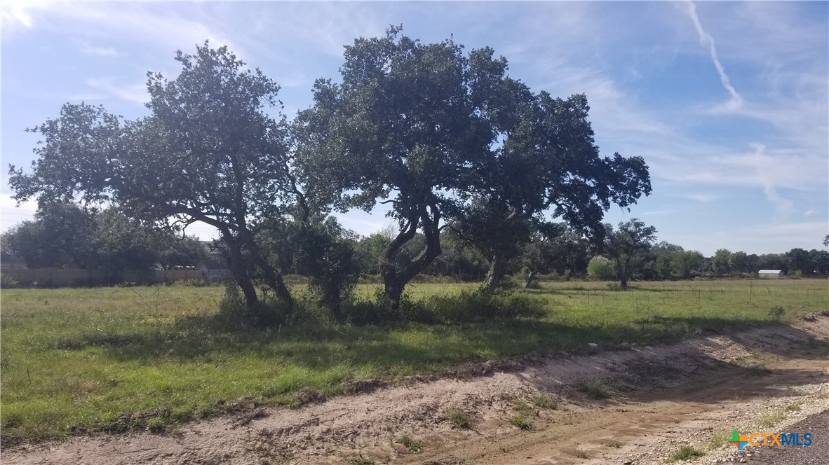 000 Enchanted Oaks Property Photo 4