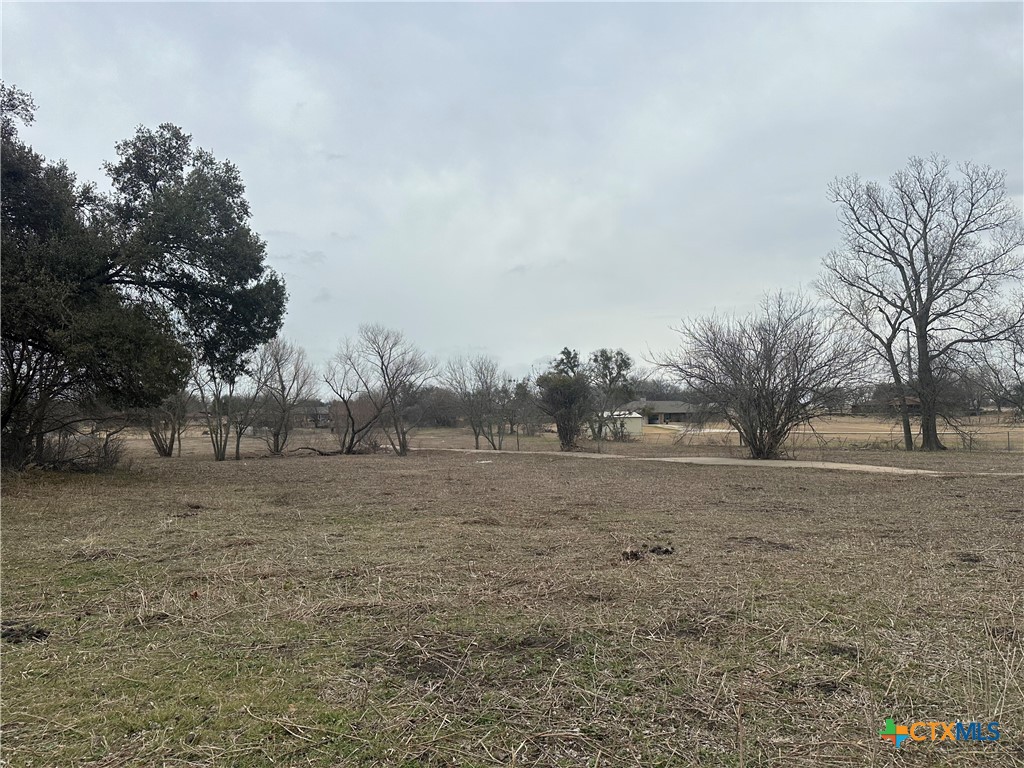Tbd Fm 1237 Property Photo 2