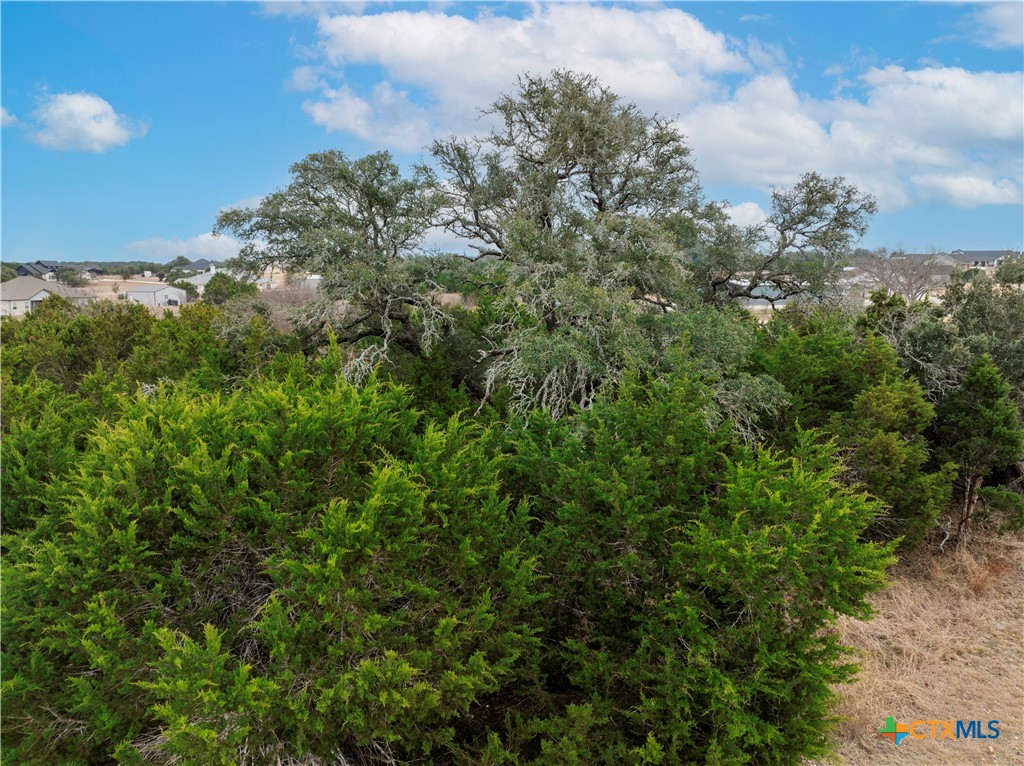 220 Lantana Bud Trail Property Photo 9