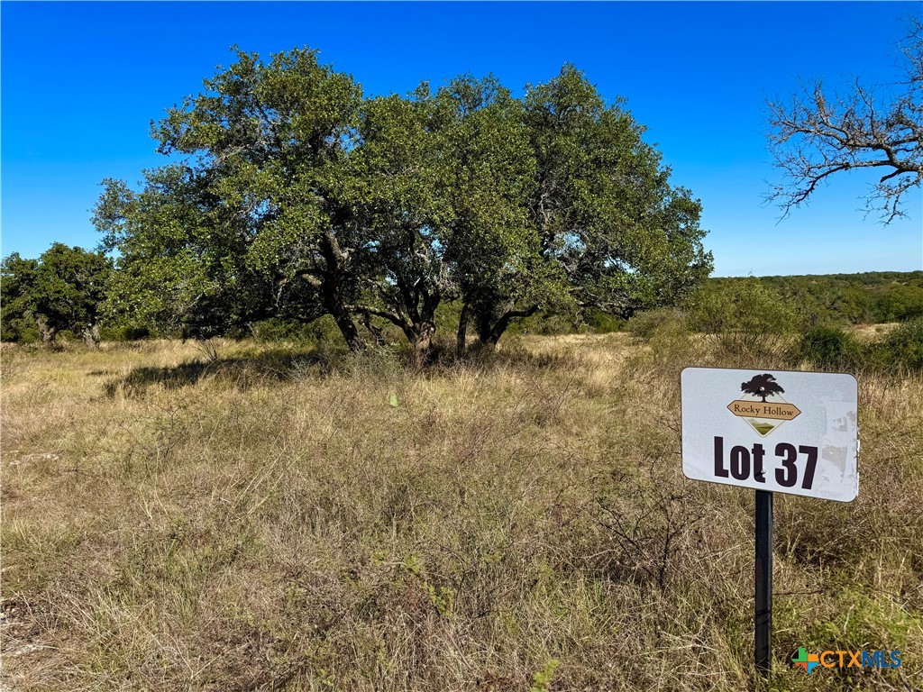Lot 37 Buck Run Rd. Property Photo 1