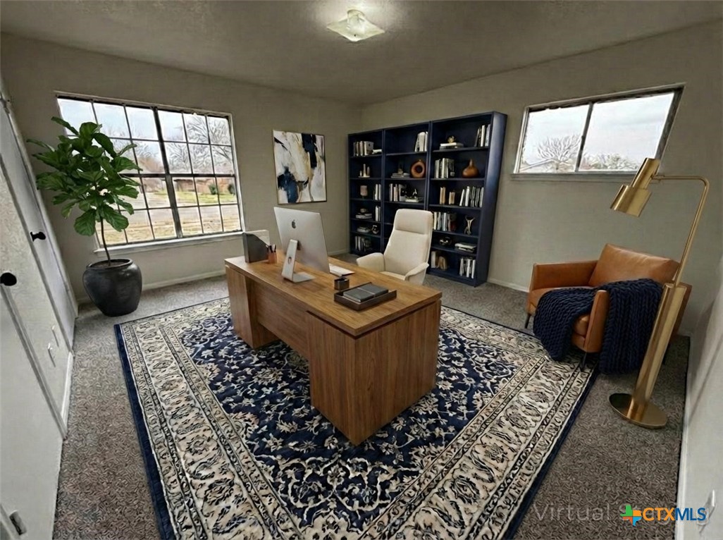 3007 Sierra Drive Property Photo 29