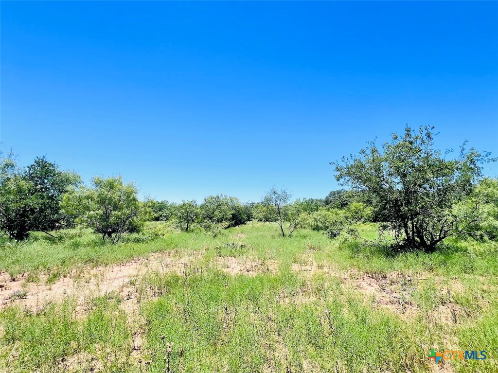 1349 County Road 152 Property Photo 1