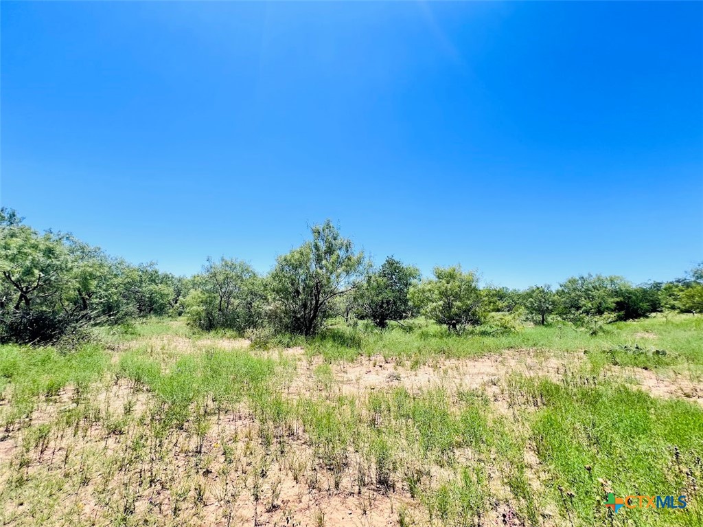 1349 County Road 152 Property Photo 2