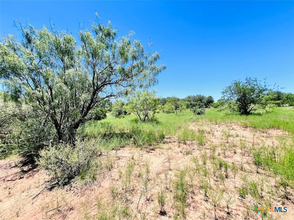 1349 County Road 152 Property Photo 3