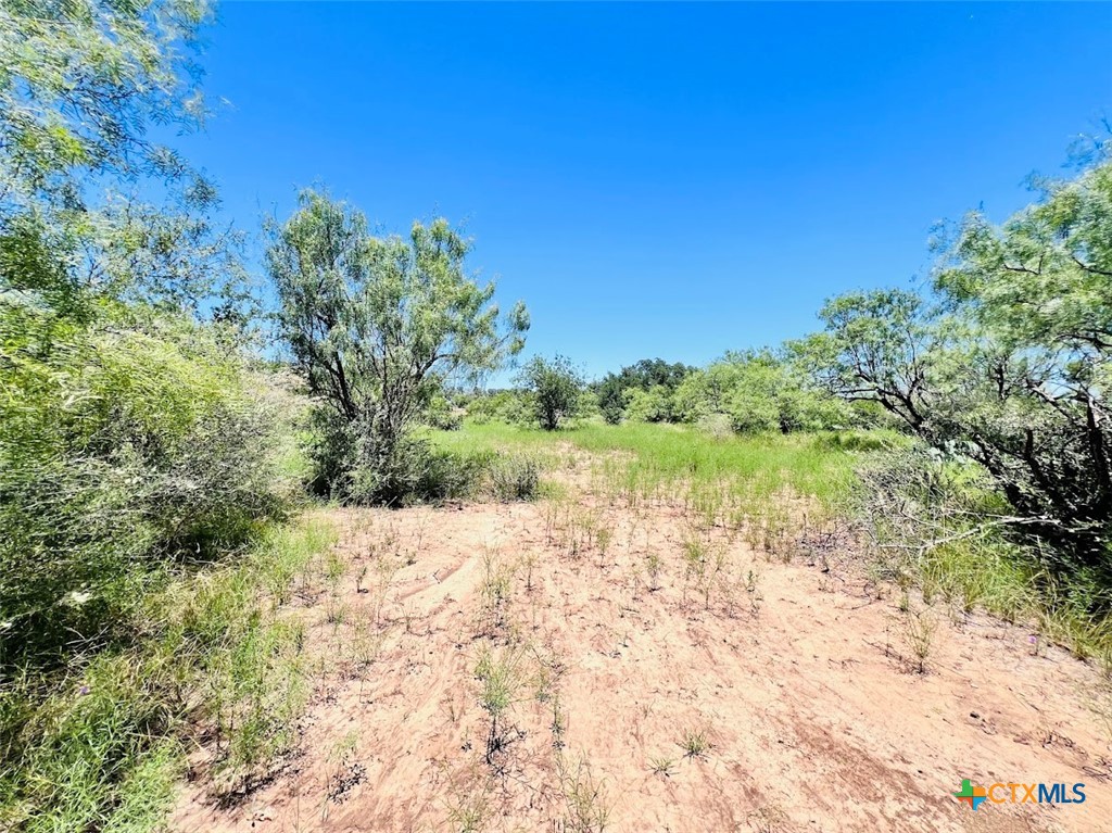 1349 County Road 152 Property Photo 4