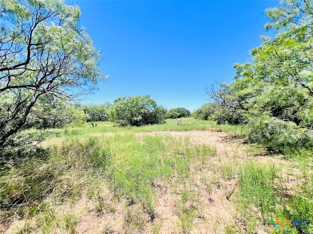 1349 County Road 152 Property Photo 5