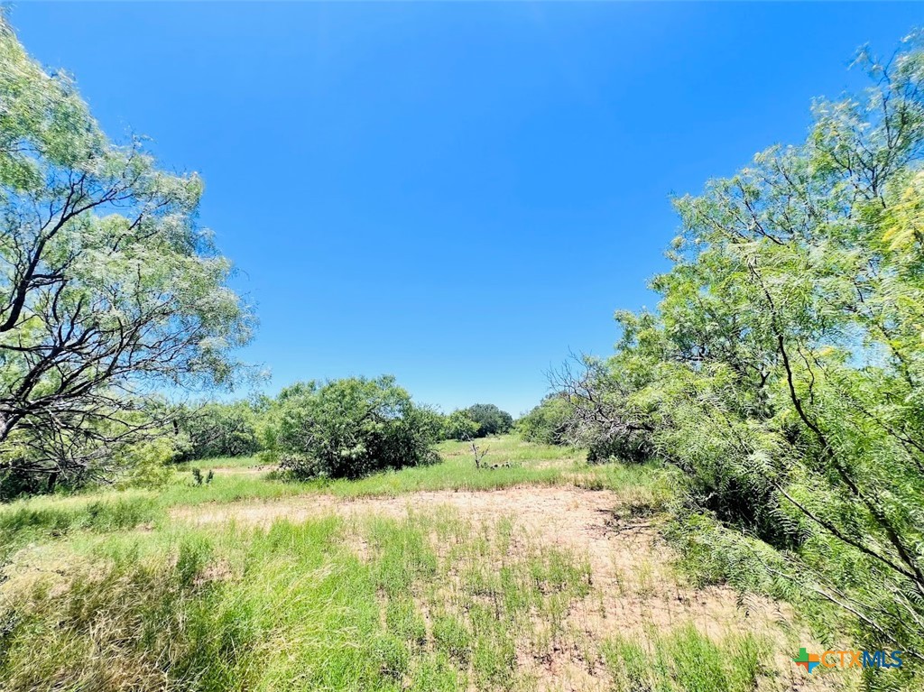 1349 County Road 152 Property Photo 8