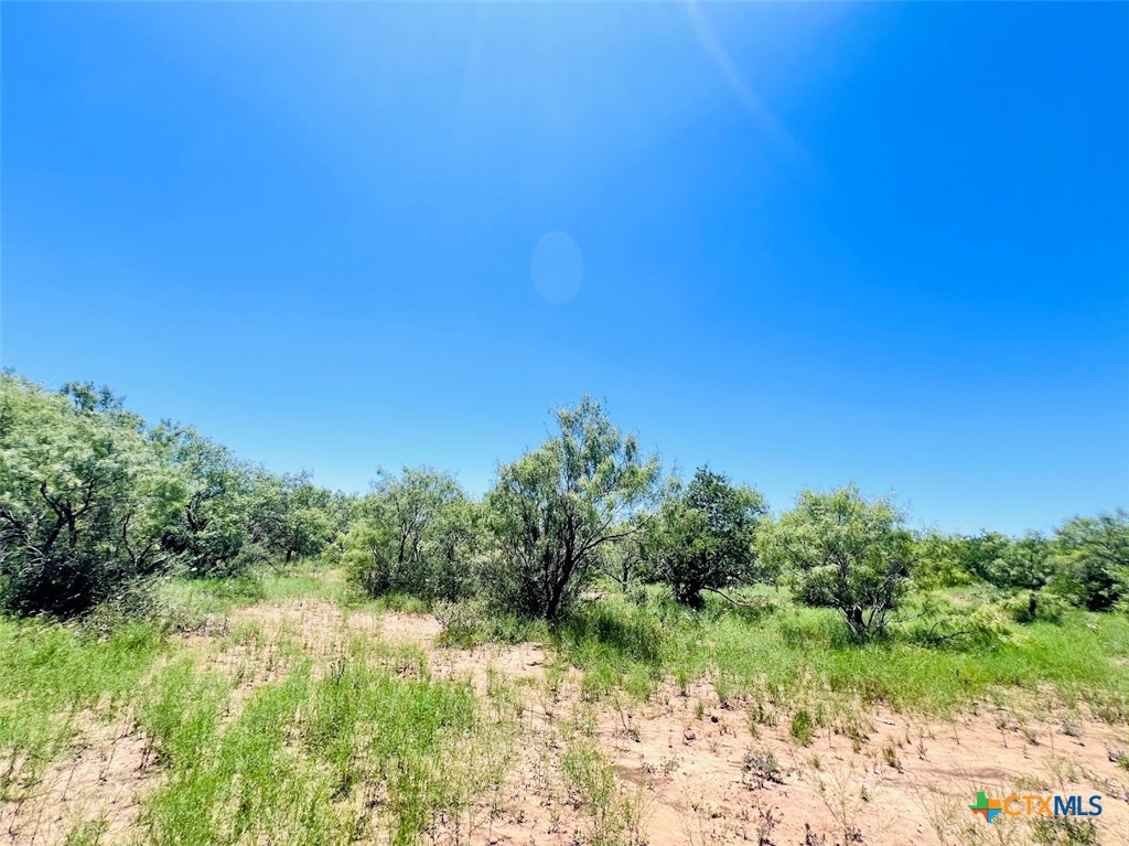 1349 County Road 152 Property Photo 10