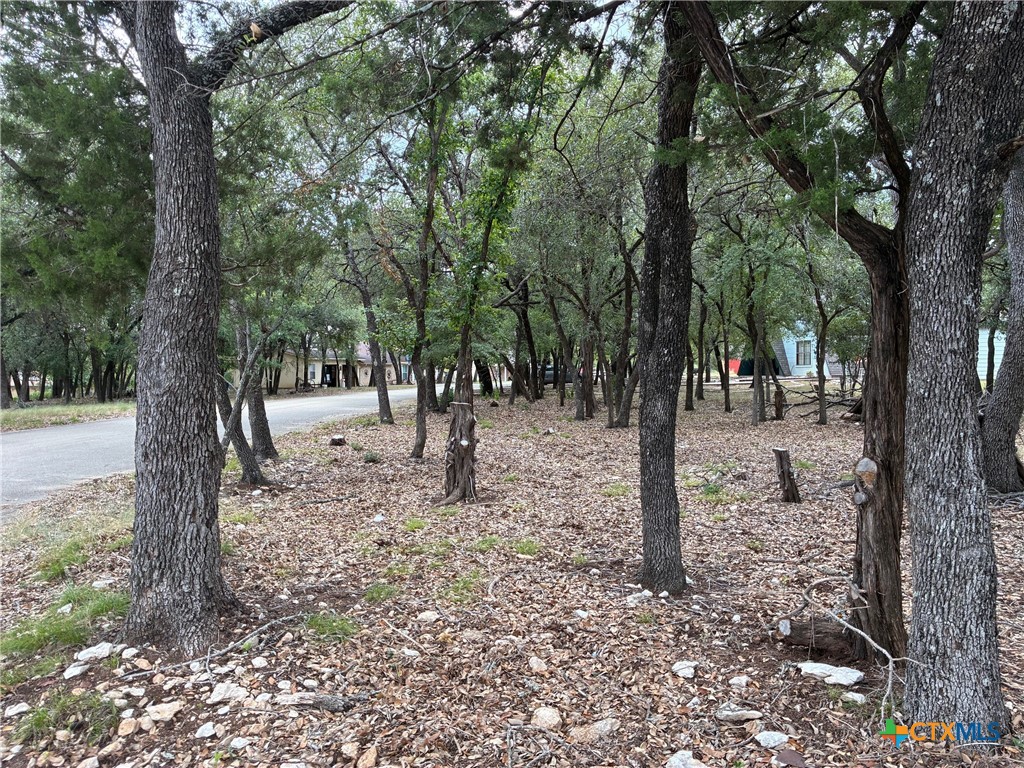 2220 Tye Valley Road Property Photo 2