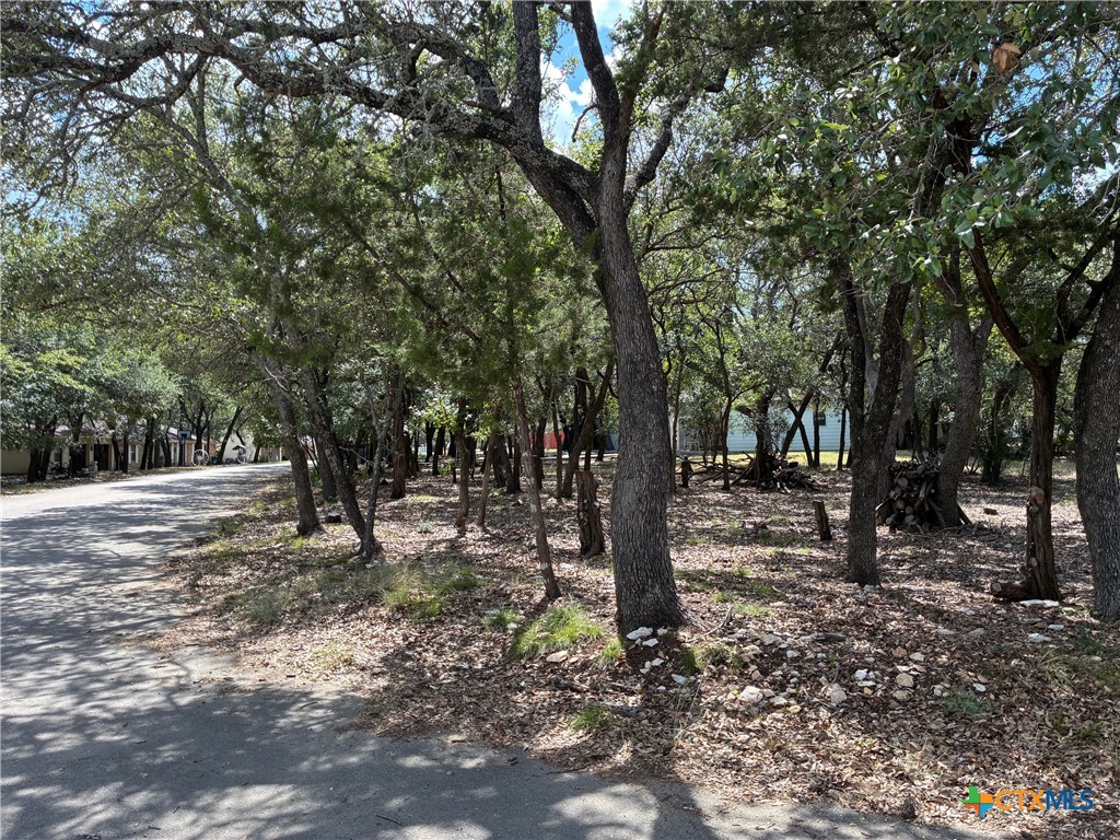2220 Tye Valley Road Property Photo 3