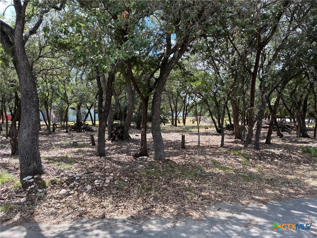2220 Tye Valley Road Property Photo 4