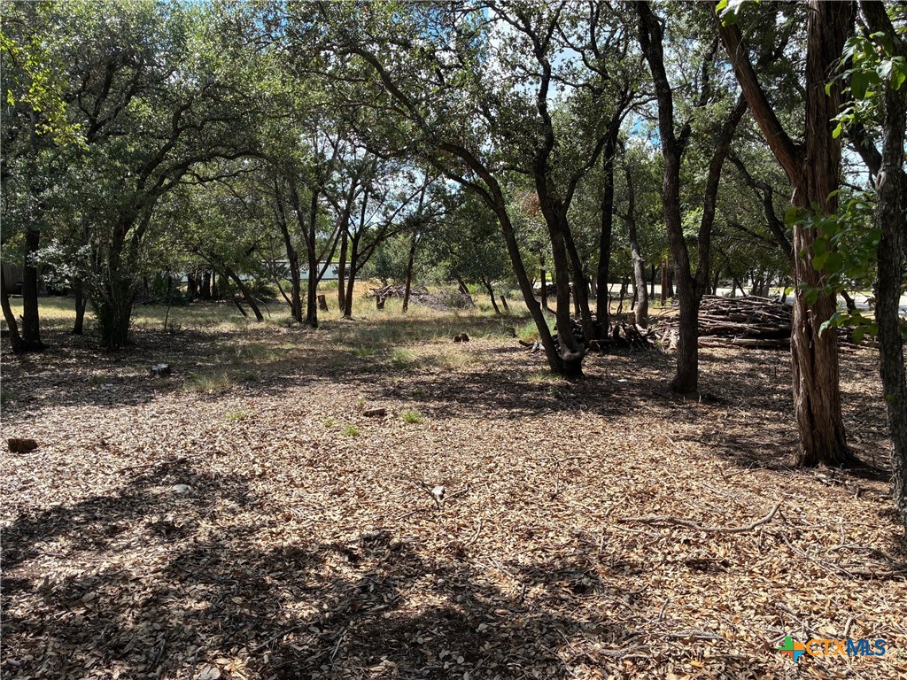 2220 Tye Valley Road Property Photo 5