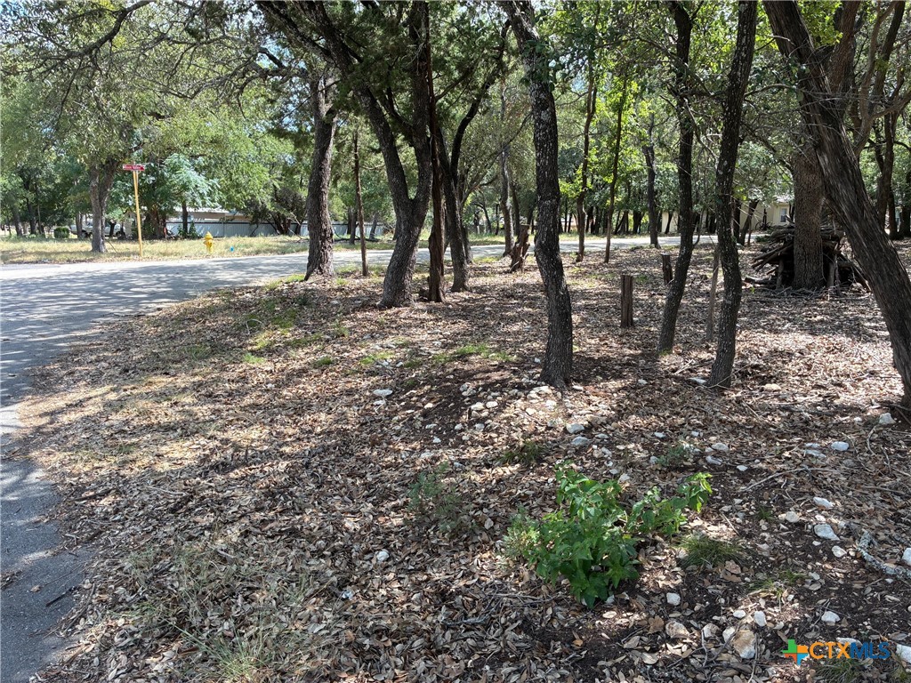 2220 Tye Valley Road Property Photo 6