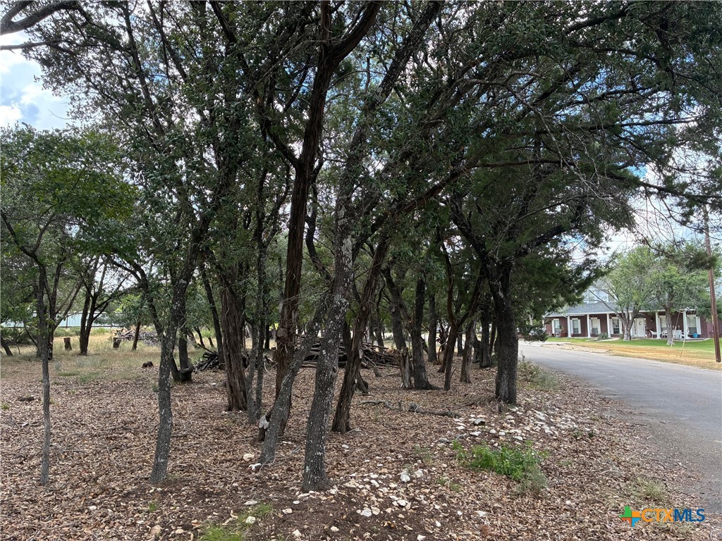 2220 Tye Valley Road Property Photo 7
