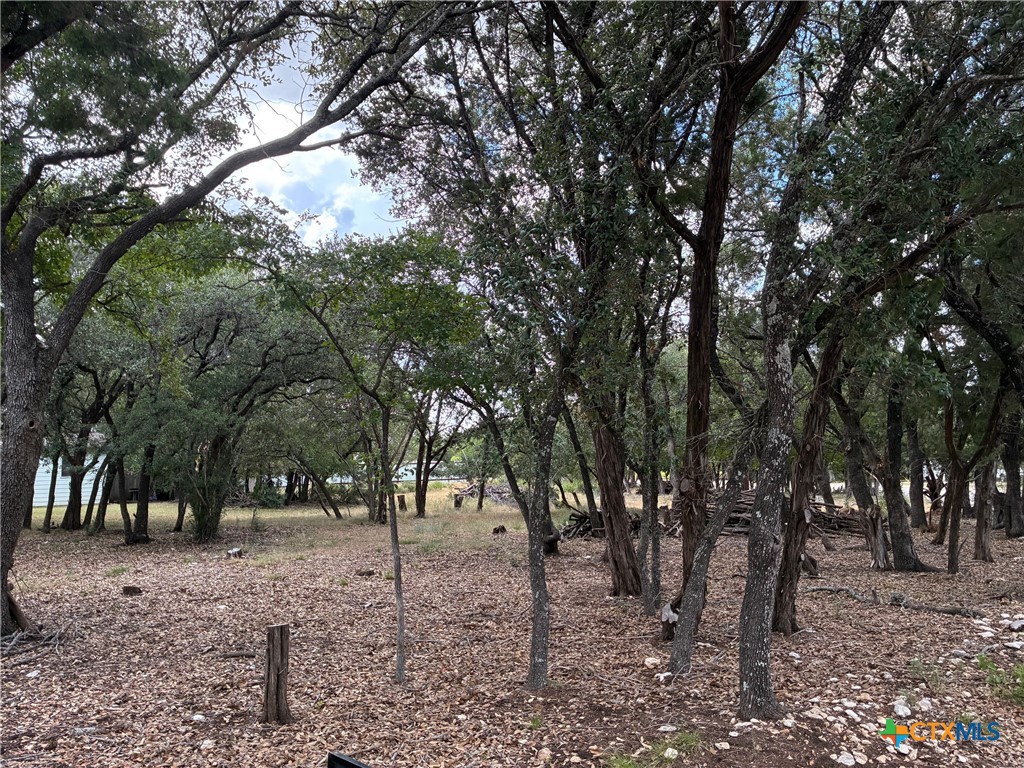 2220 Tye Valley Road Property Photo 8