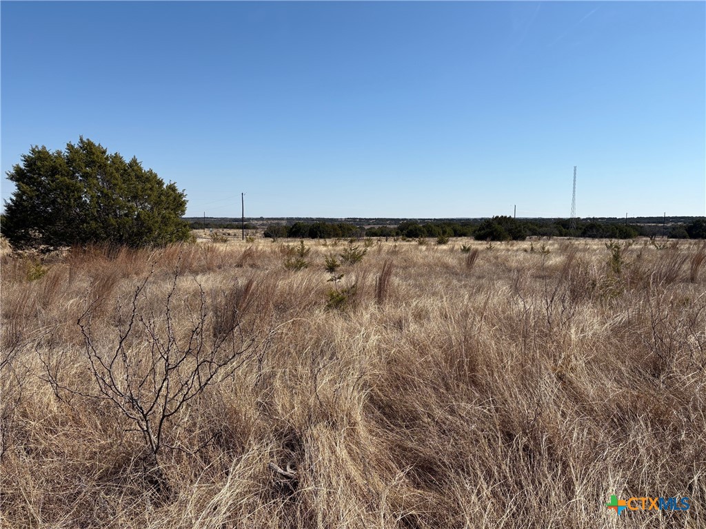 000 Monarch Lane/shin Oak Property Photo 3