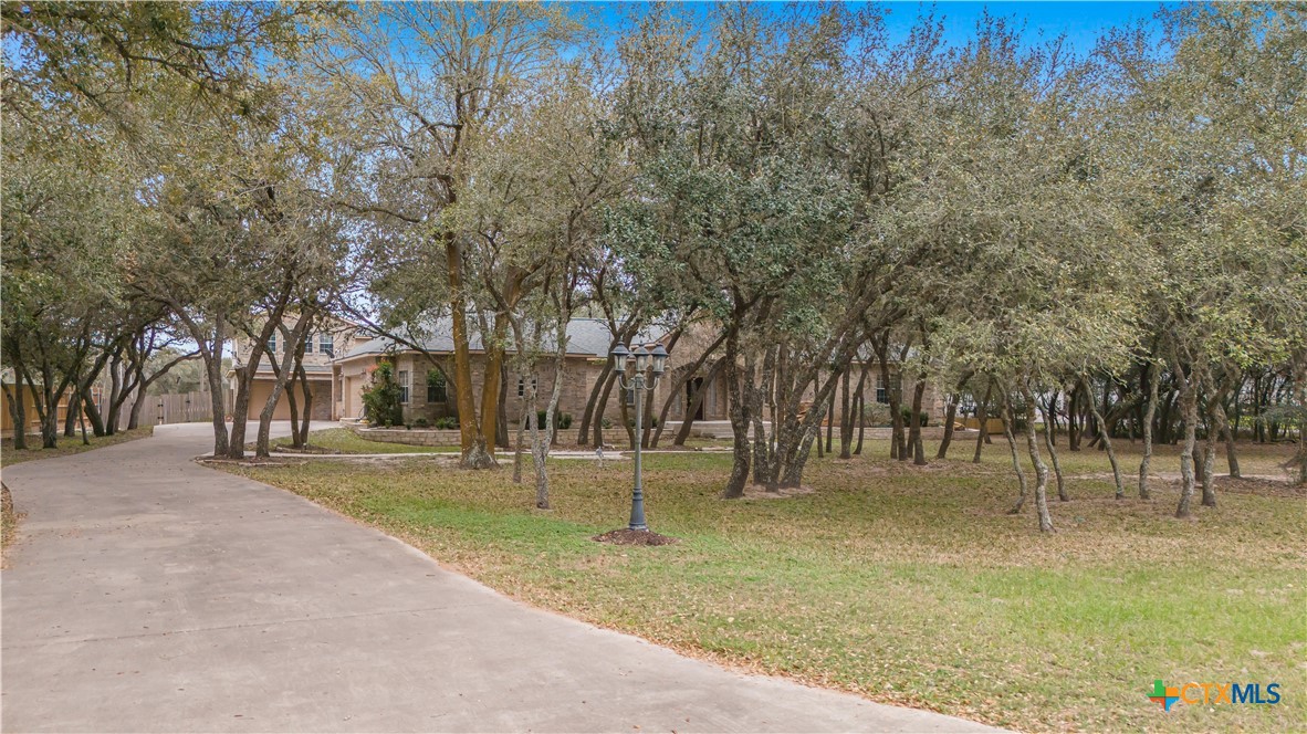 233 Post Oak Bend Property Photo 8