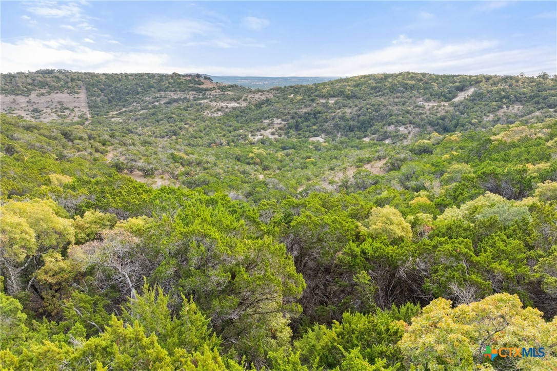 1600 Brushy Ridge Trail Property Photo 37