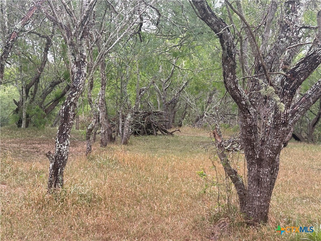 1683 Kemper City Road Property Photo 10