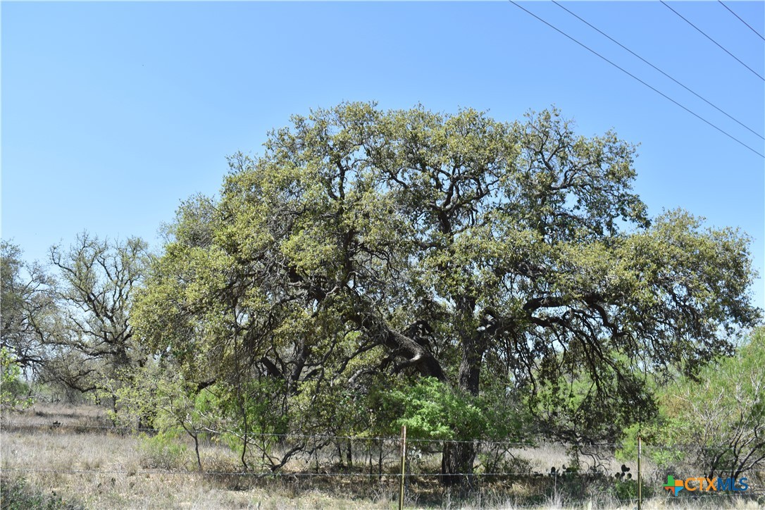 5030 Fm 2504 Property Photo 1