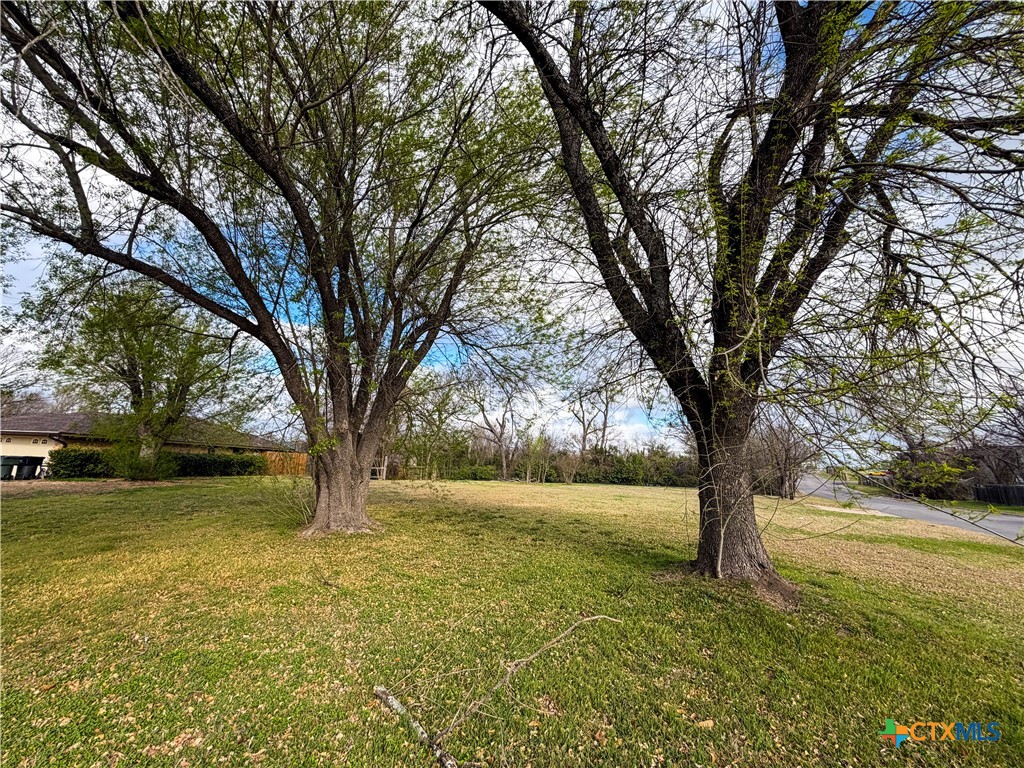 4302 Antelope Trail Property Photo 3