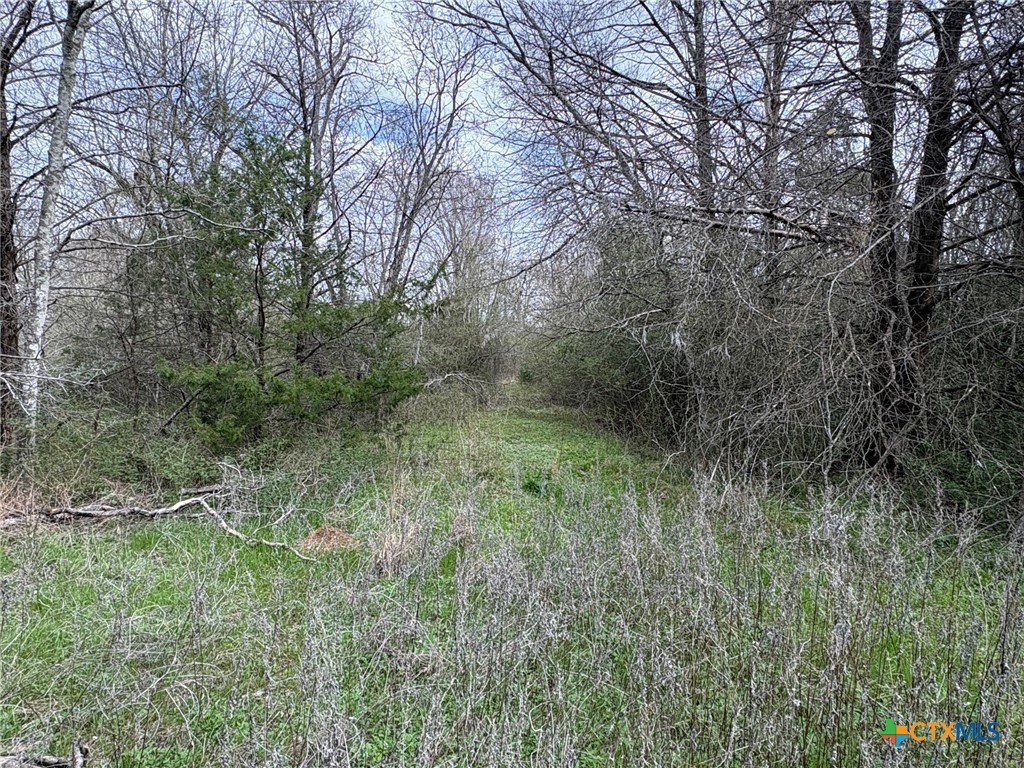 Tbd Lcr 666 Property Photo 7