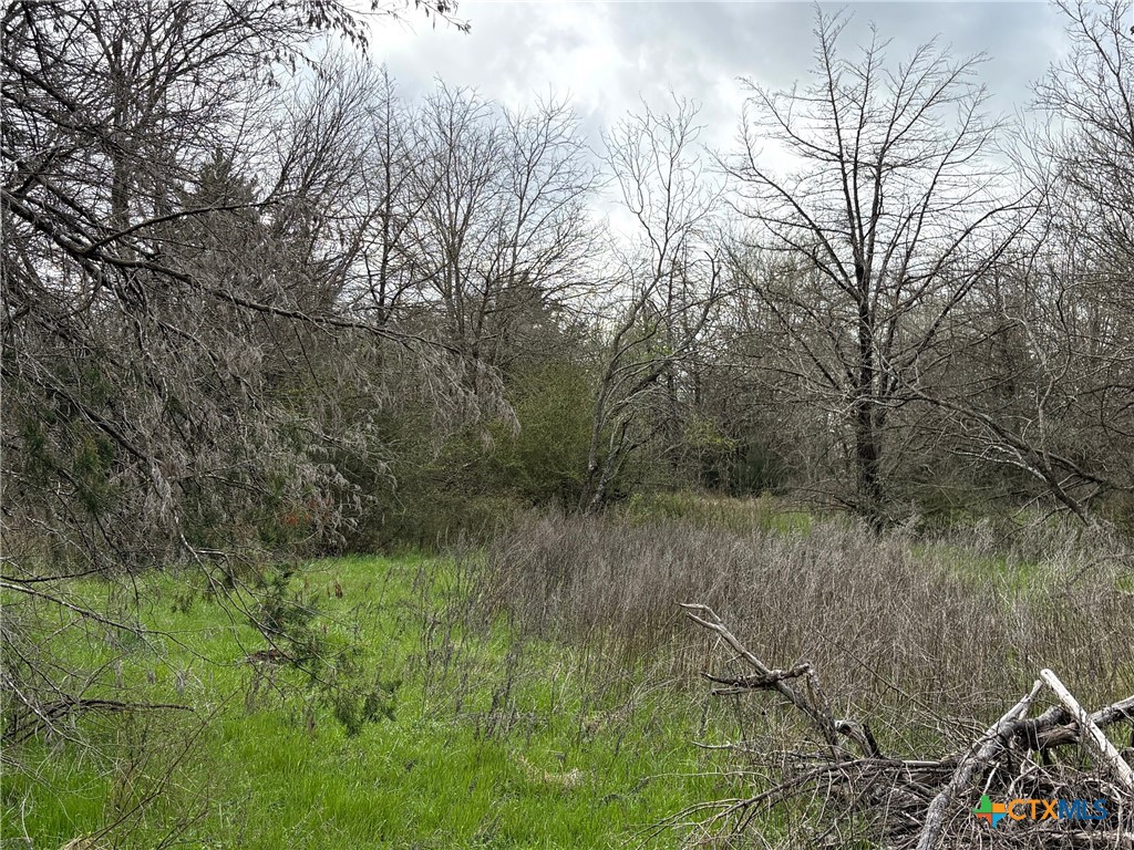 Tbd Lcr 666 Property Photo 8