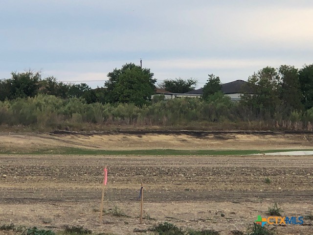 4904 Rose Garden Loop Property Photo 1