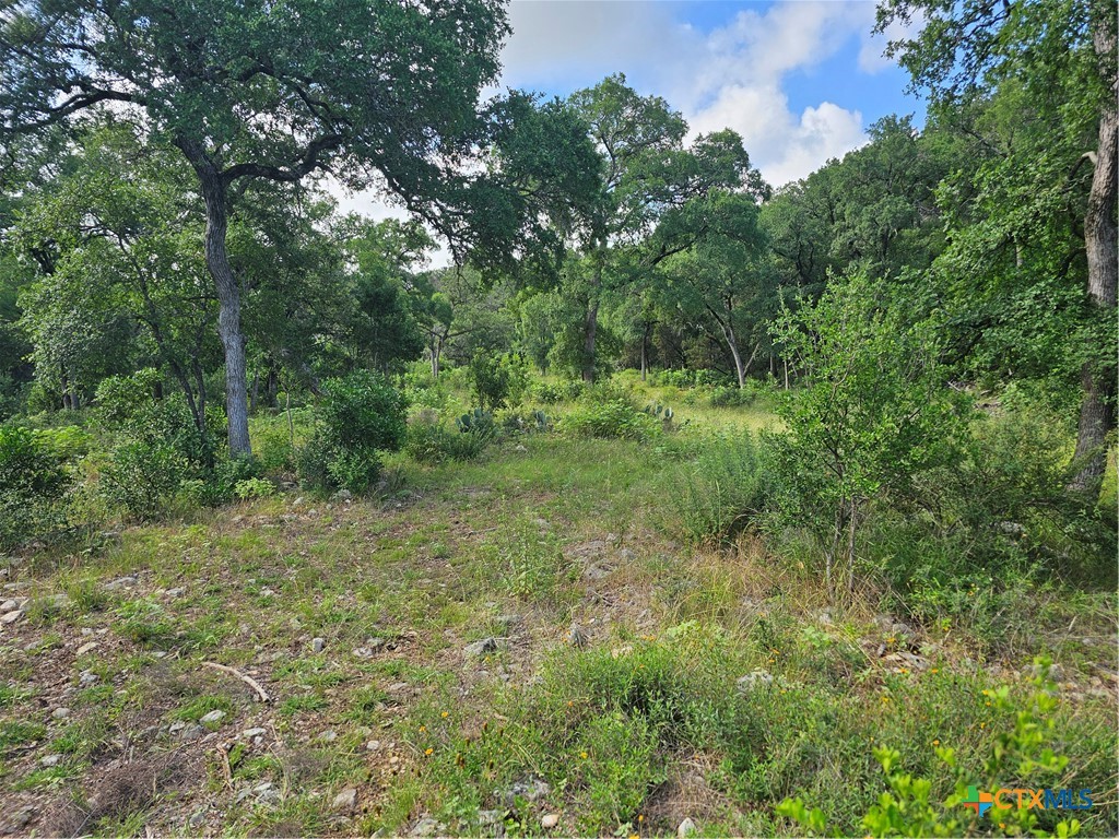 Tbd Happy Hollow Property Photo 1