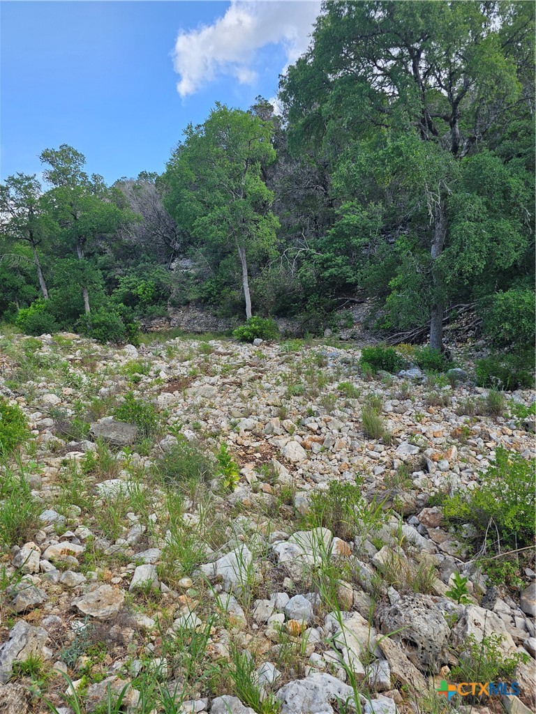 Tbd Happy Hollow Property Photo 3