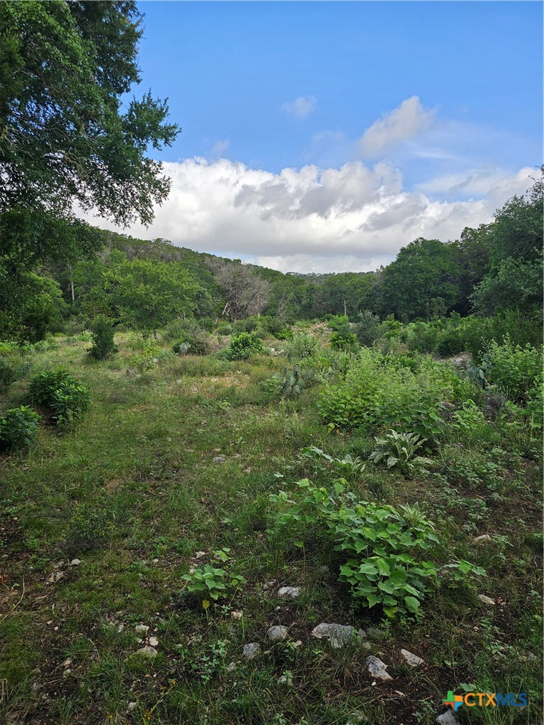 Tbd Happy Hollow Property Photo 4